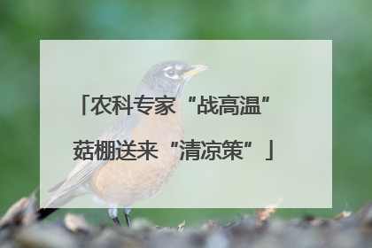 农科专家“战高温” 菇棚送来“清凉策”