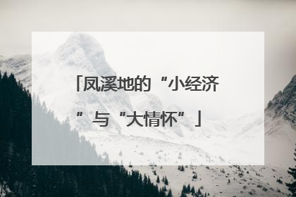 凤溪地的“小经济”与“大情怀”
