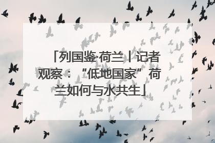 列国鉴·荷兰丨记者观察：“低地国家”荷兰如何与水共生
