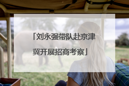 刘永强带队赴京津冀开展招商考察