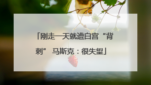 刚走一天就遭白宫“背刺” 马斯克：很失望