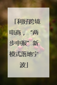 利好跨境电商，“两步申报”新模式落地宁波