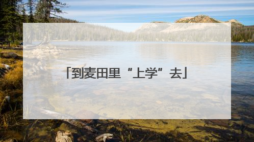 到麦田里“上学”去