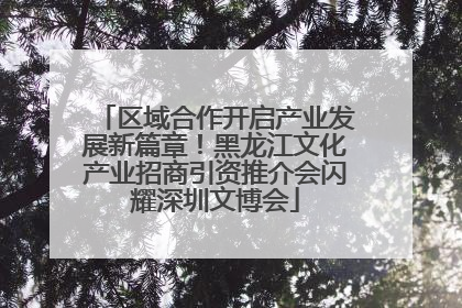 区域合作开启产业发展新篇章！黑龙江文化产业招商引资推介会闪耀深圳文博会