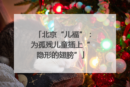 北京“儿福”：为孤残儿童插上“隐形的翅膀”