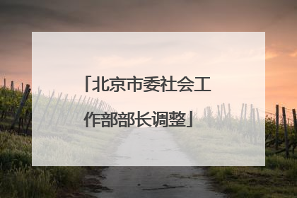 北京市委社会工作部部长调整