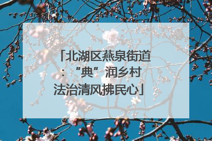 北湖区燕泉街道：“典”润乡村 法治清风拂民心