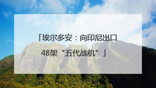 埃尔多安：向印尼出口48架“五代战机”