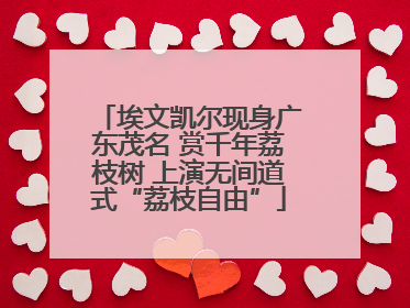 埃文凯尔现身广东茂名 赏千年荔枝树 上演无间道式“荔枝自由”
