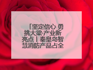 坚定信心 勇挑大梁·产业新亮点丨秦皇岛智慧消防产品占全国市场超四成