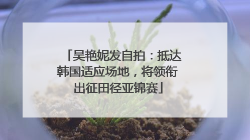 吴艳妮发自拍：抵达韩国适应场地，将领衔出征田径亚锦赛