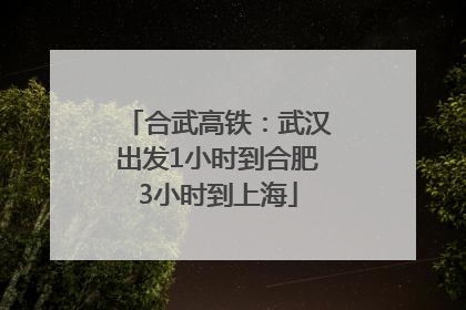 合武高铁：武汉出发1小时到合肥3小时到上海