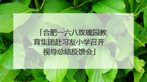 合肥一六八玫瑰园教育集团赴习友小学召开视导总结反馈会