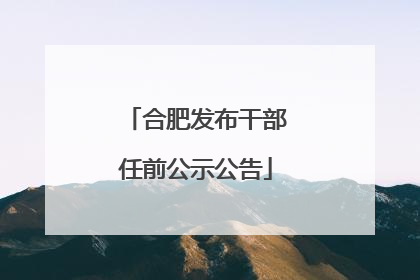 合肥发布干部任前公示公告