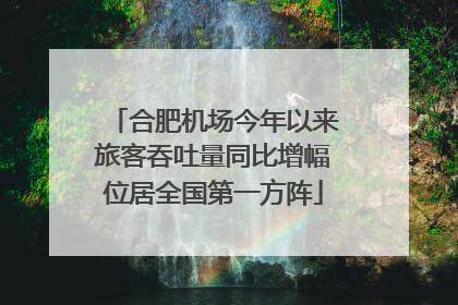 合肥机场今年以来旅客吞吐量同比增幅位居全国第一方阵