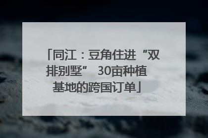 同江：豆角住进“双排别墅” 30亩种植基地的跨国订单