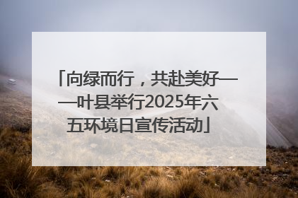 向绿而行，共赴美好——叶县举行2025年六五环境日宣传活动