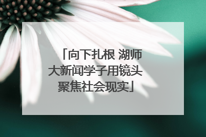 向下扎根 湖师大新闻学子用镜头聚焦社会现实