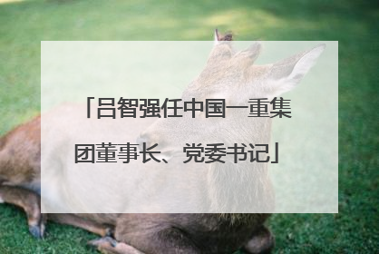 吕智强任中国一重集团董事长、党委书记
