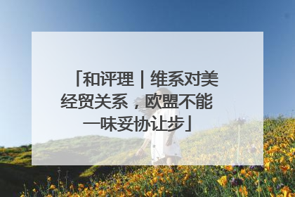 和评理｜维系对美经贸关系，欧盟不能一味妥协让步