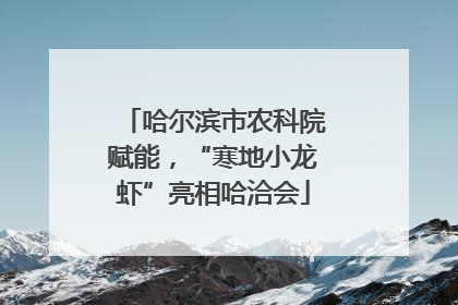 哈尔滨市农科院赋能，“寒地小龙虾”亮相哈洽会