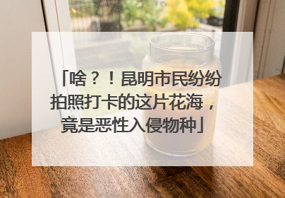 啥？！昆明市民纷纷拍照打卡的这片花海，竟是恶性入侵物种