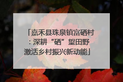 嘉禾县珠泉镇富硒村：深耕“硒”望田野 激活乡村振兴新动能