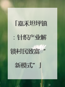 嘉禾坦坪镇：针织产业解锁村民致富“新模式”
