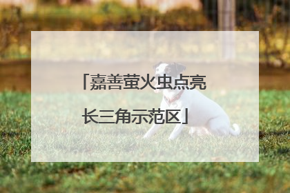 嘉善萤火虫点亮长三角示范区