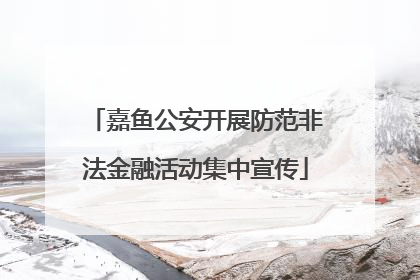 嘉鱼公安开展防范非法金融活动集中宣传