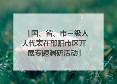 国、省、市三级人大代表在邵阳市区开展专题调研活动