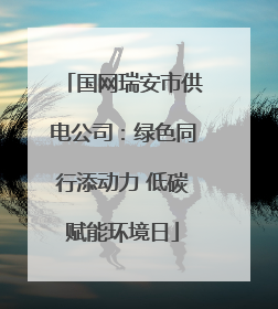 国网瑞安市供电公司：绿色同行添动力 低碳赋能环境日