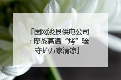 国网浚县供电公司：鏖战高温“烤”验 守护万家清凉
