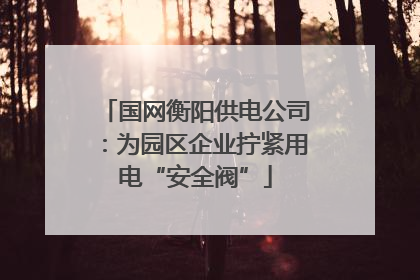 国网衡阳供电公司：为园区企业拧紧用电“安全阀”