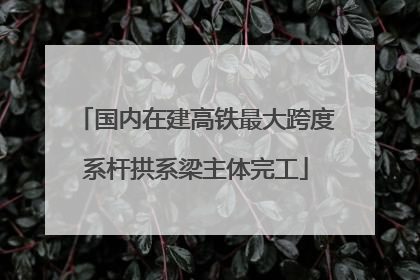 国内在建高铁最大跨度系杆拱系梁主体完工