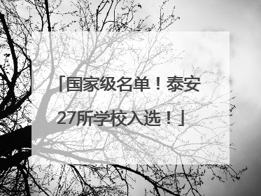 国家级名单！泰安27所学校入选！