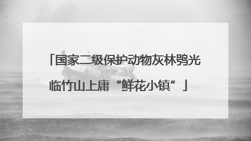 国家二级保护动物灰林鸮光临竹山上庸“鲜花小镇”