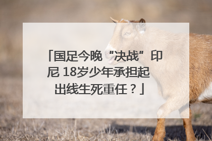 国足今晚“决战”印尼 18岁少年承担起出线生死重任？