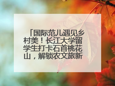 国际范儿遇见乡村美！长江大学留学生打卡石首桃花山，解锁农文旅新玩法！