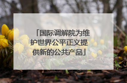 国际调解院为维护世界公平正义提供新的公共产品