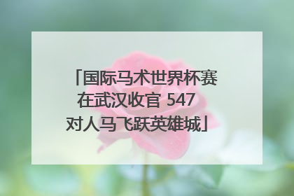 国际马术世界杯赛在武汉收官 547对人马飞跃英雄城