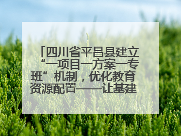 四川省平昌县建立“一项目一方案一专班”机制，优化教育资源配置——让基建“加速”，为成长“铺路”