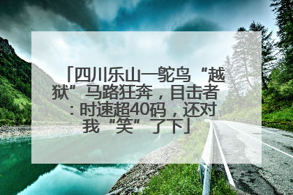 四川乐山一鸵鸟“越狱”马路狂奔，目击者：时速超40码，还对我“笑”了下