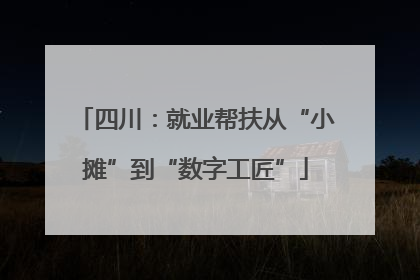 四川：就业帮扶从“小摊”到“数字工匠”