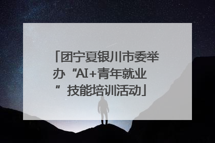 团宁夏银川市委举办“AI+青年就业”技能培训活动