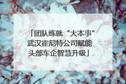 团队练就“大本事” 武汉霍尼特公司赋能头部车企智慧升级