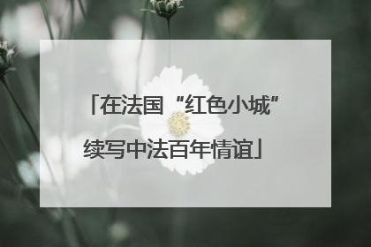 在法国“红色小城”续写中法百年情谊
