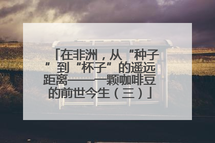 在非洲，从“种子”到“杯子”的遥远距离——一颗咖啡豆的前世今生（三）