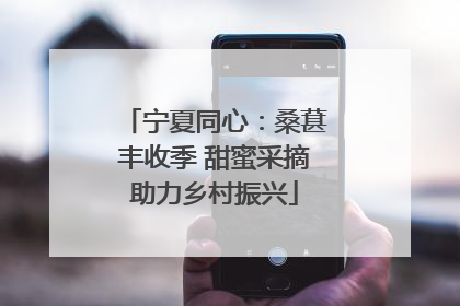 宁夏同心：桑葚丰收季 甜蜜采摘助力乡村振兴