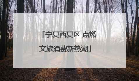 宁夏西夏区 点燃文旅消费新热潮